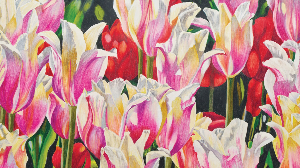Tulip Time in Bowral: A Guide to the Southern Highlands' Most Magical Season