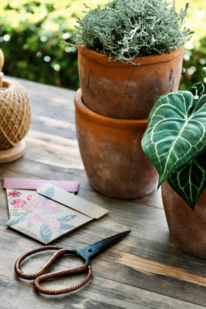 Secret Santa Gift Guide: $20 and under for the plant lover
