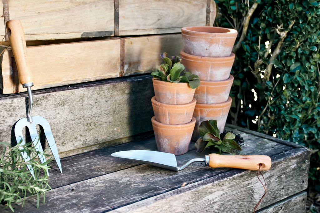 4 Plants Perfect for a Beautiful Balcony Veggie Garden