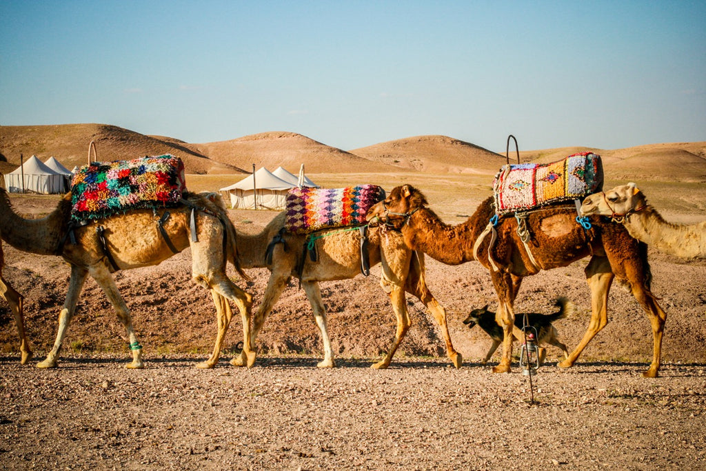 The Magic of Morocco - Part 3