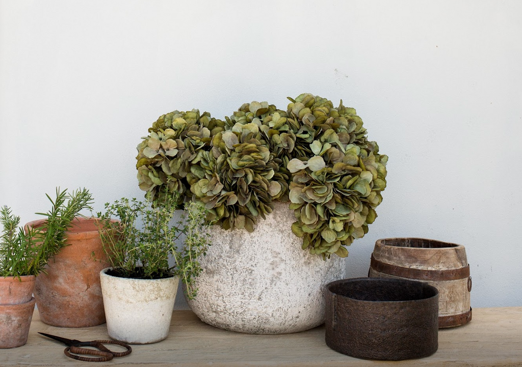 flower pot