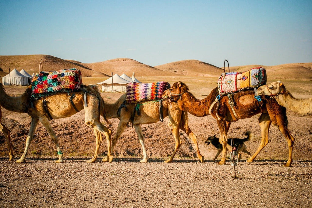 The Magic of Morocco - Part 3 - Few and Far