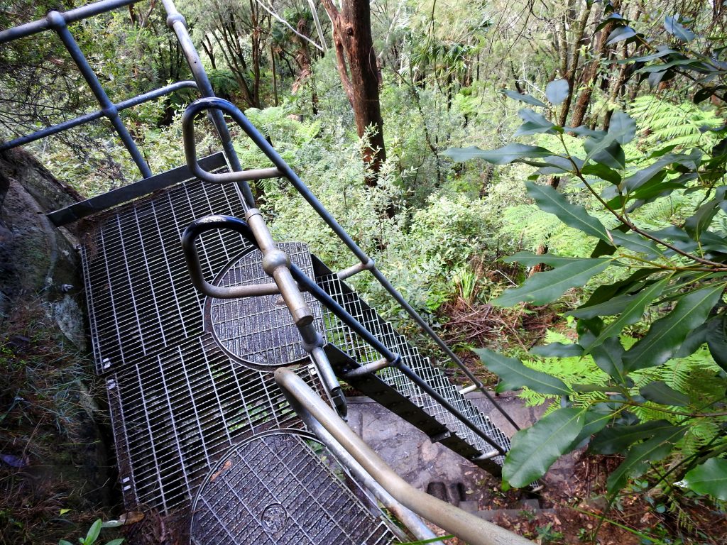 Metal staircase in a forest setting with green foliage