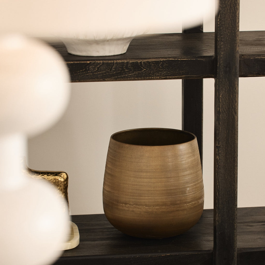 Ammi Pot – Few and Far