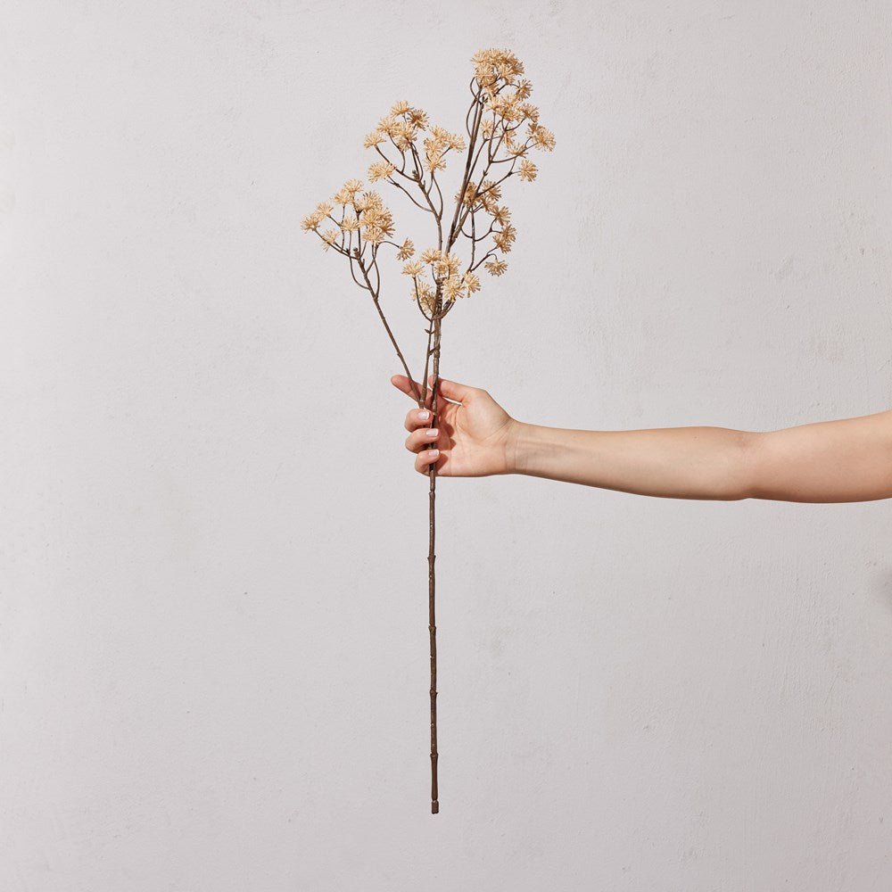 Aralia Spray Apricot Cream 83cm - Few and Far - Flowers & Foliage