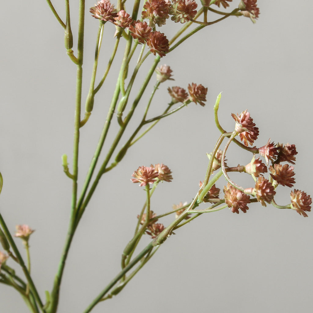 Babys Breath Spray Pink Green 59cm - Few and Far - Flowers & Foliage