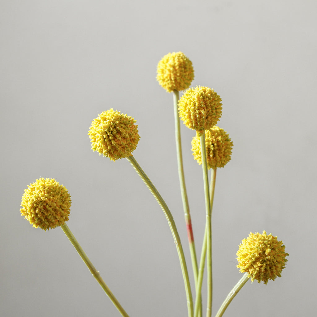 Billy Button Yellow 62cm - Few and Far - Flowers & Foliage
