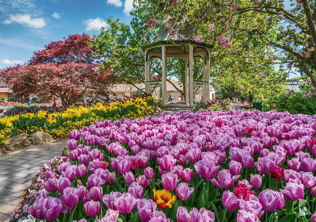 Gazebo surrounded by pink tulips and other flowers in a garden setting