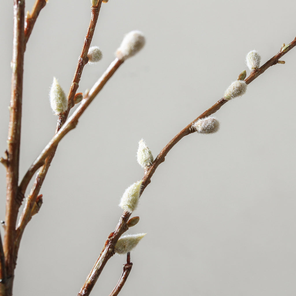 Branch 110cm White - Few and Far - Flowers & Foliage