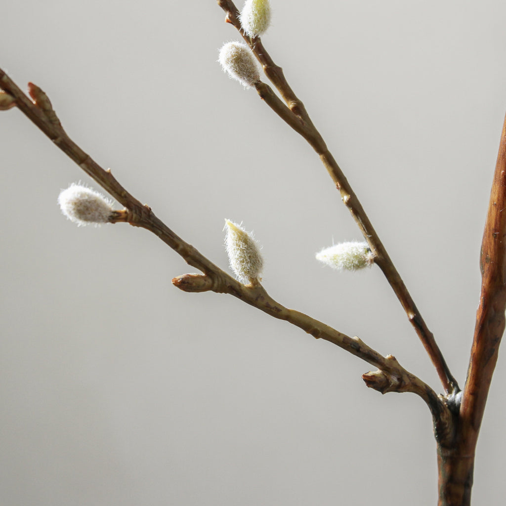 Branch 110cm White - Few and Far - Flowers & Foliage