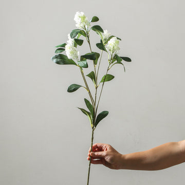 Branch 81cm White - Few and Far - Flowers & Foliage