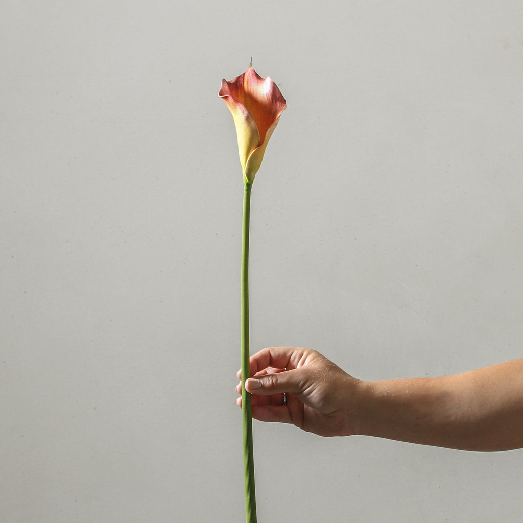 Calla Lily Flame 61cm - Few and Far - Flowers & Foliage