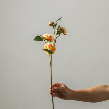 Camellia 66cm Yellow - Few and Far - Flowers & Foliage