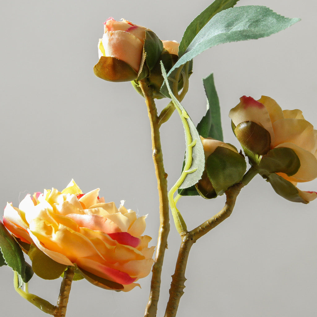 Camellia 66cm Yellow - Few and Far - Flowers & Foliage