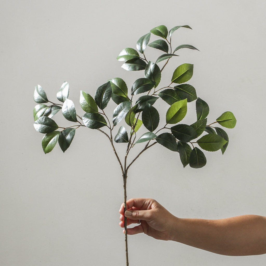 Camellia Leaf Spray Green 61cm - Few and Far - Flowers & Foliage