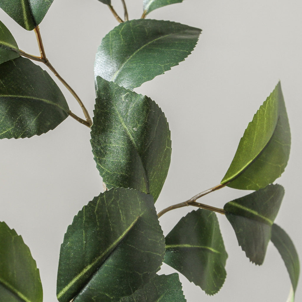 Camellia Leaf Spray Green 61cm - Few and Far - Flowers & Foliage