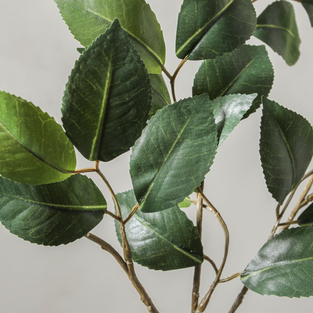 Camellia Leaf Spray Green 61cm - Few and Far - Flowers & Foliage
