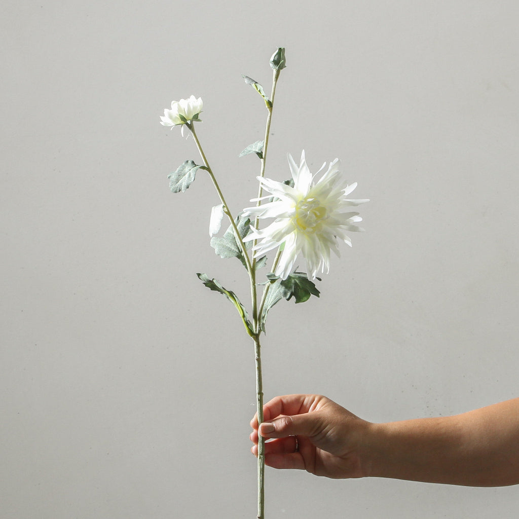 Chrysanthemum 72cm White - Few and Far - Flowers & Foliage