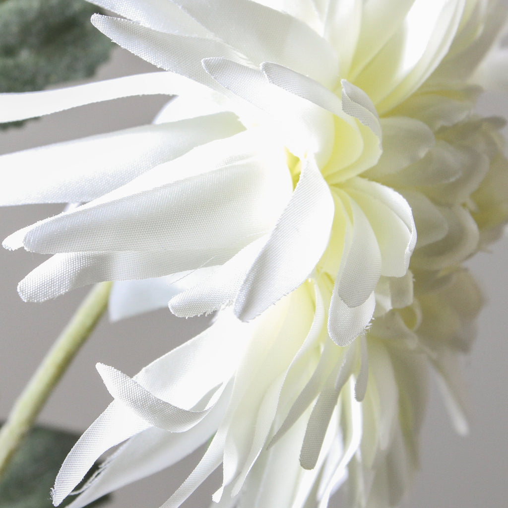Chrysanthemum 72cm White - Few and Far - Flowers & Foliage