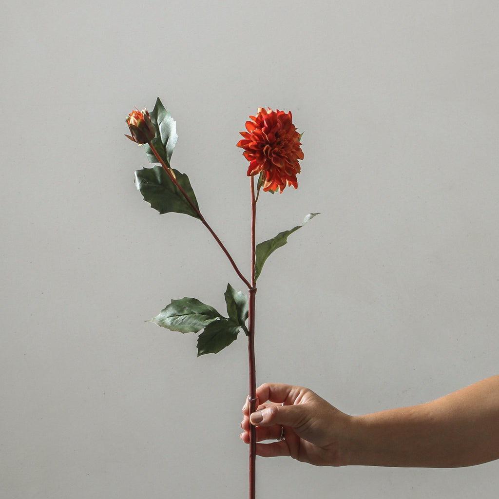 Dahlia 68cm Orange - Few and Far - Flowers & Foliage