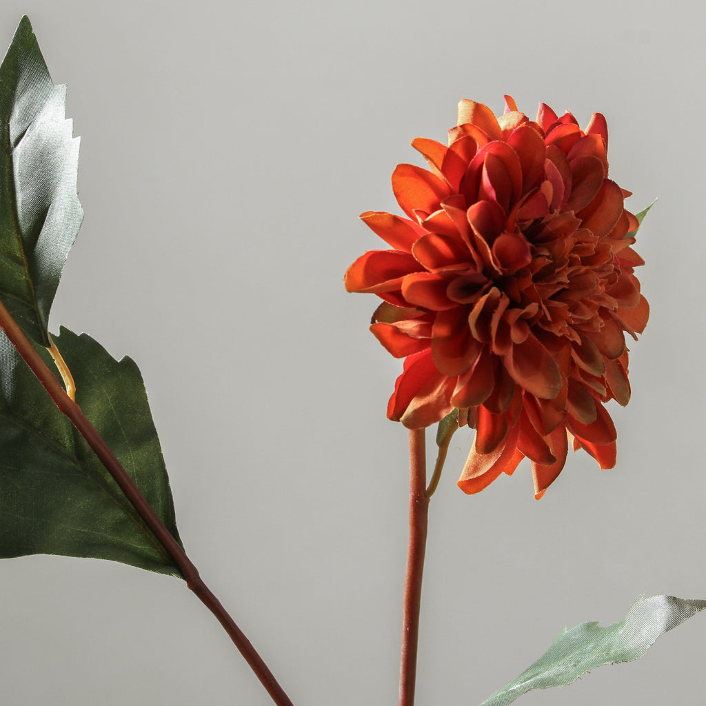 Dahlia 68cm Orange - Few and Far - Flowers & Foliage