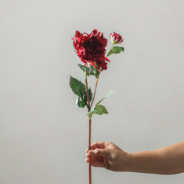 Dahlia 71cm Burgundy - Few and Far - Flowers & Foliage