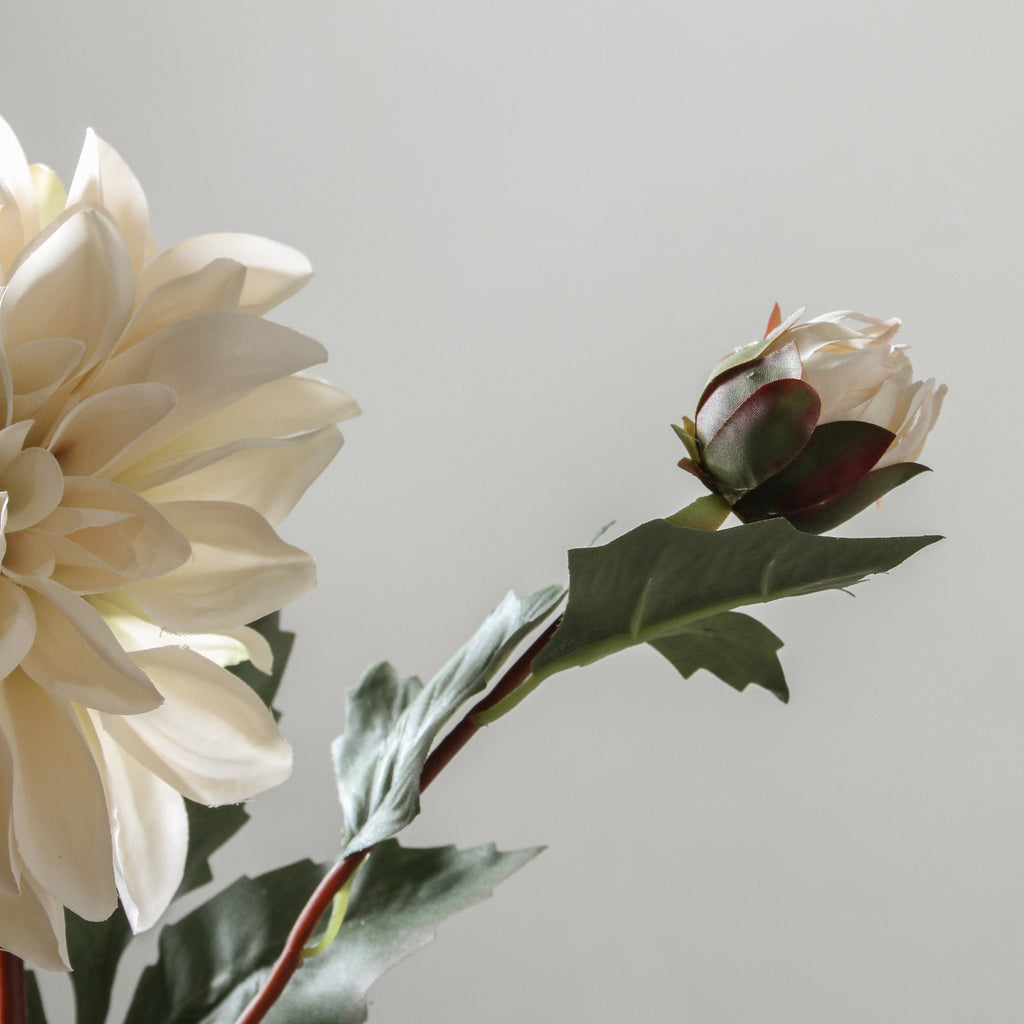 Dahlia 80cm White - Few and Far - Flowers & Foliage