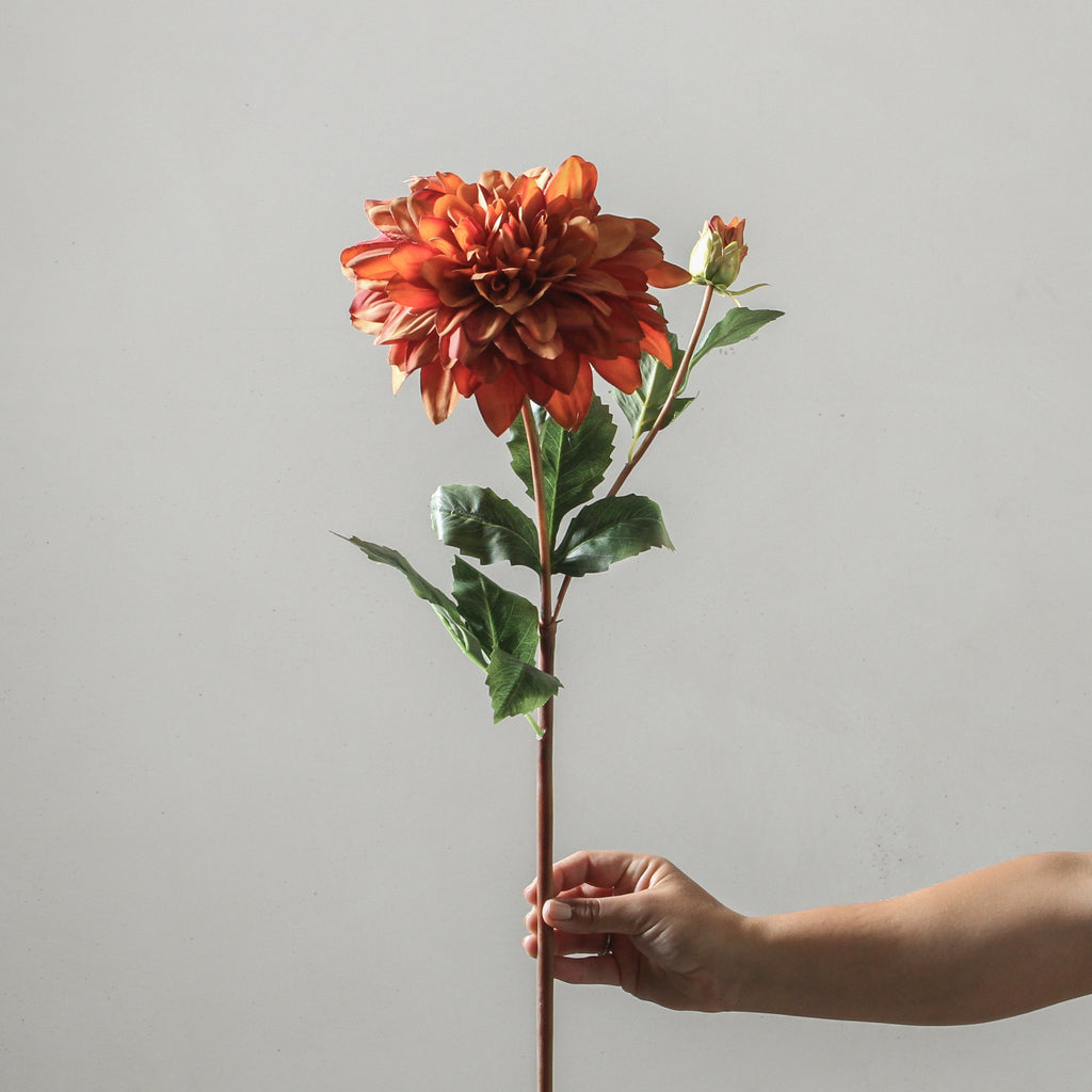 Dahlia 90cm Orange - Few and Far - Flowers & Foliage