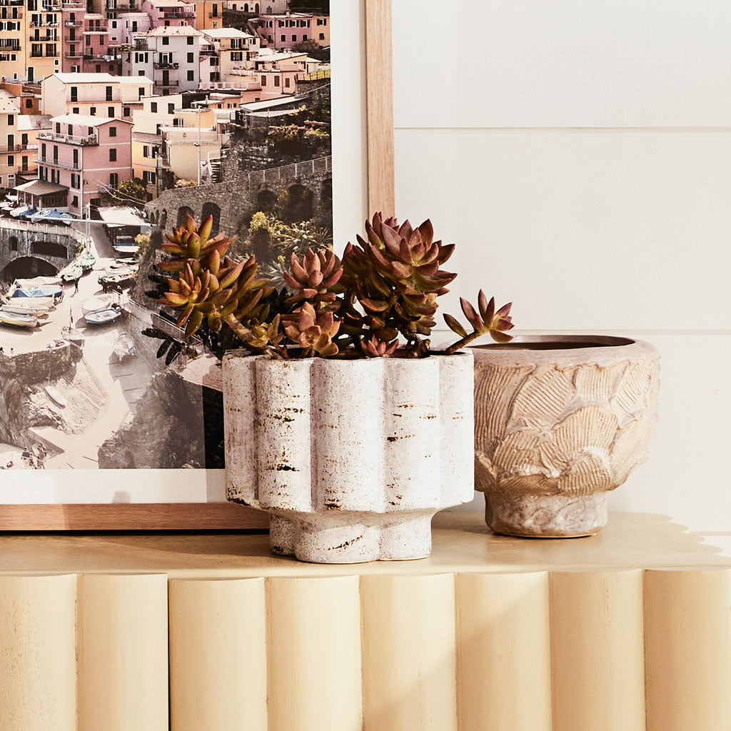 Daphne Pot - Few and Far - Planters & Pots