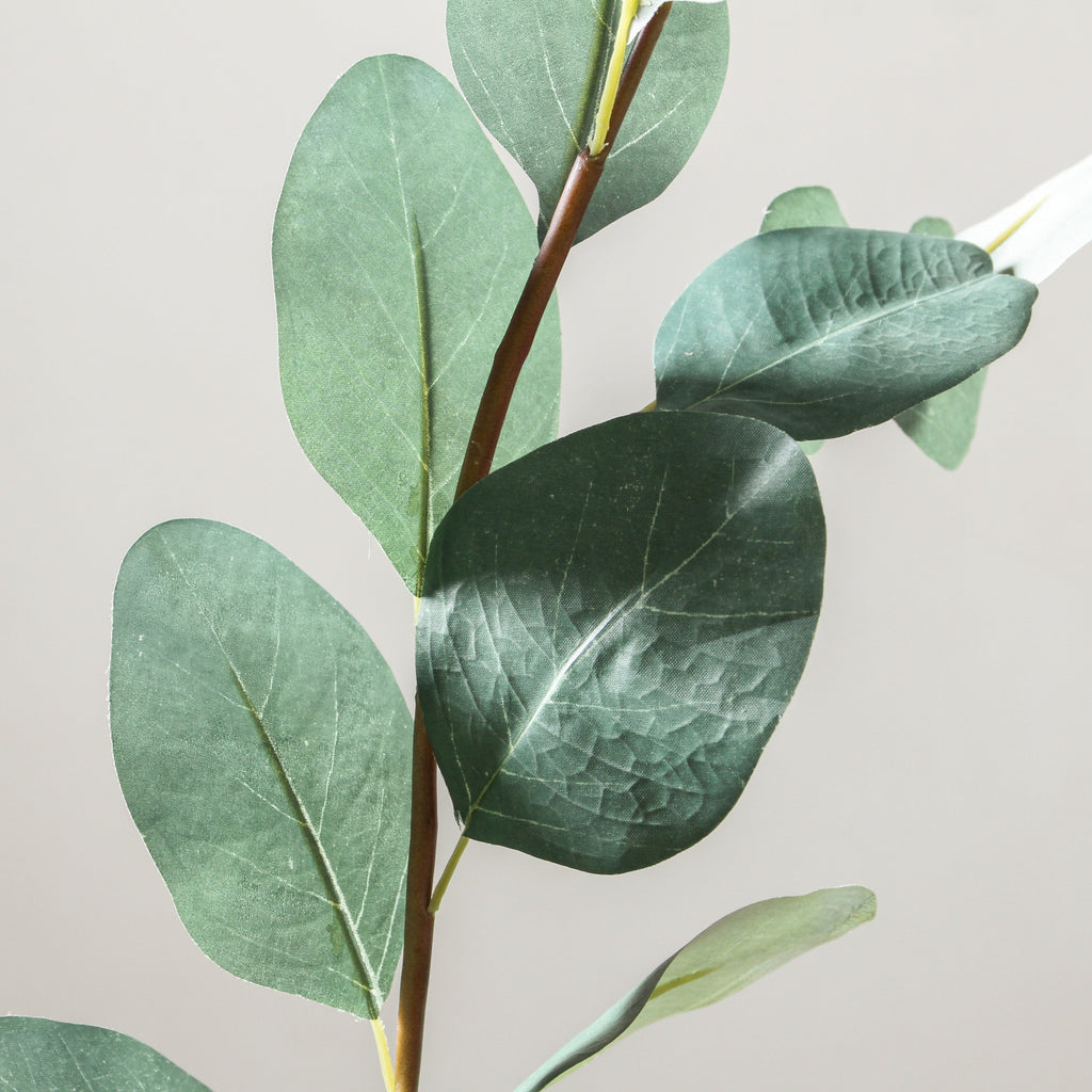 Eucalyptus Branch 90cm Green - Few and Far - Flowers & Foliage