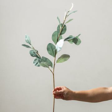 Eucalyptus Branch 90cm Green - Few and Far - Flowers & Foliage
