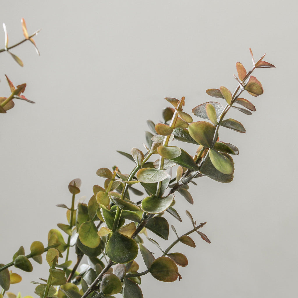 Eucalyptus Bush SP Olive Green 60cm - Few and Far - Flowers & Foliage