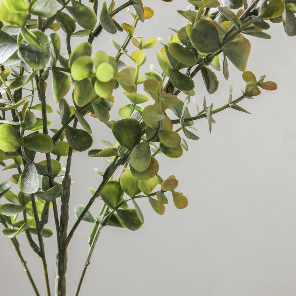 Eucalyptus Bush SP Olive Green 60cm - Few and Far - Flowers & Foliage