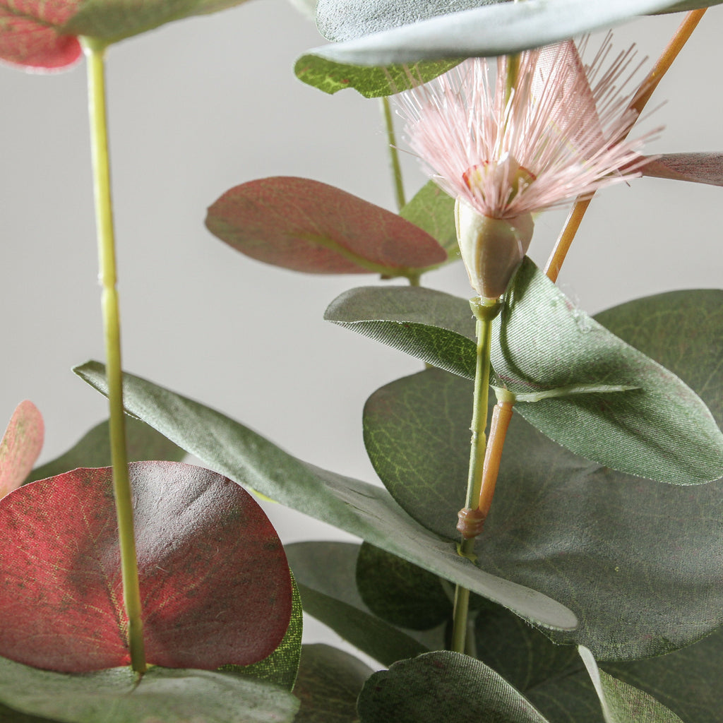 Eucalyptus Flowering Spinning Gum Bush Pink 60cm - Few and Far - Flowers & Foliage