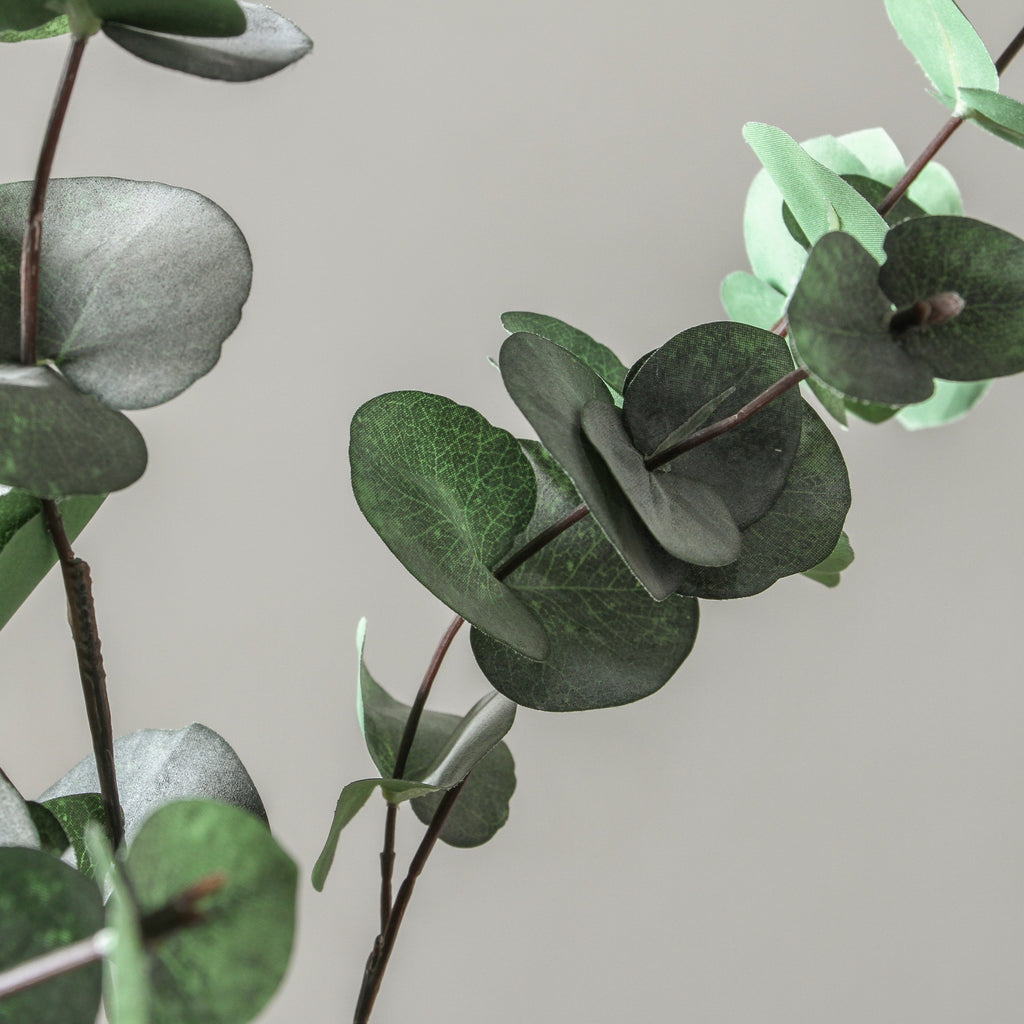 Eucalyptus Silver Dollar Dark Green 101cm - Few and Far - Flowers & Foliage