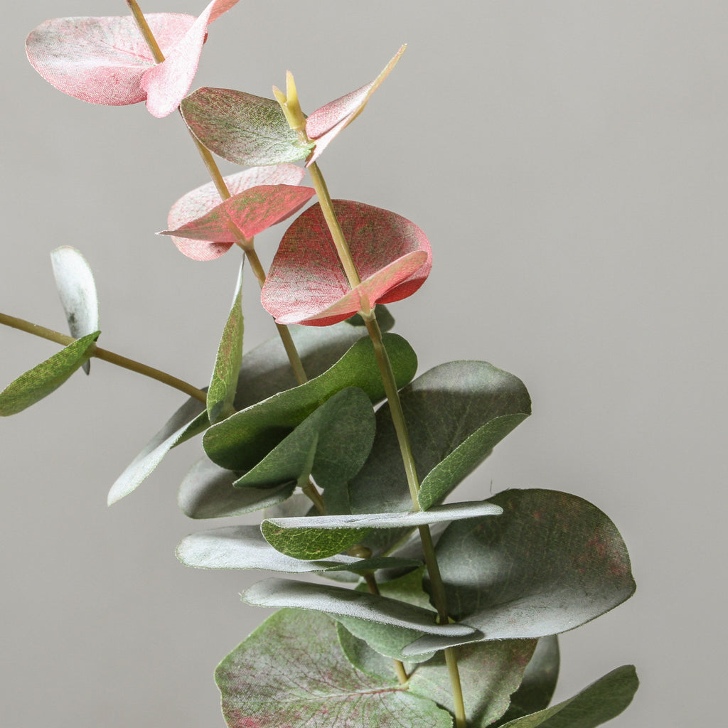 Eucalyptus Silver Dollar Grey Red 101cm - Few and Far - Flowers & Foliage