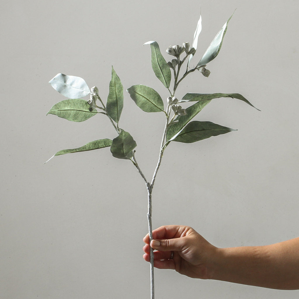 Eucalyptus Tetragona Spray Grey 64cm - Few and Far - Flowers & Foliage