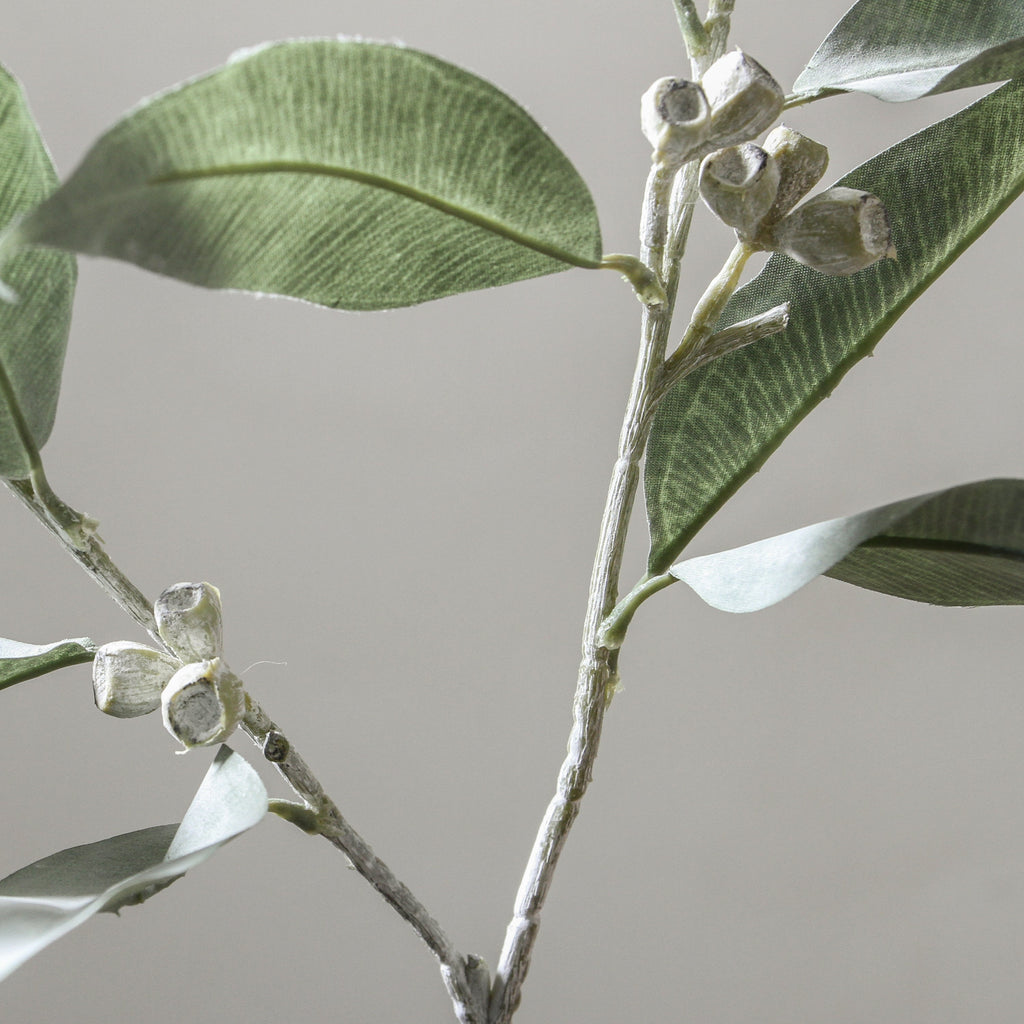 Eucalyptus Tetragona Spray Grey 64cm - Few and Far - Flowers & Foliage