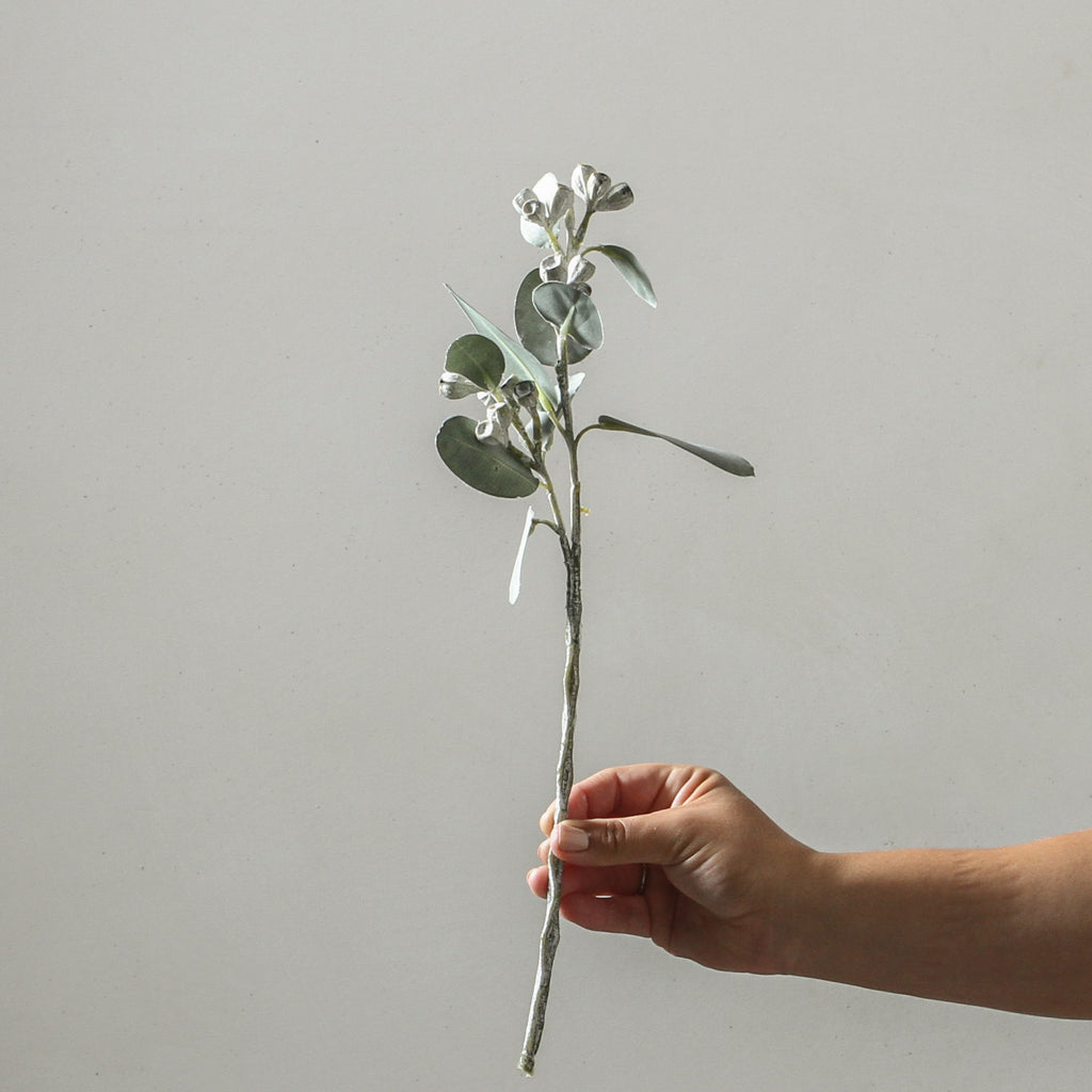 Eucalyptus Tetragona White Green 41cm - Few and Far - Flowers & Foliage