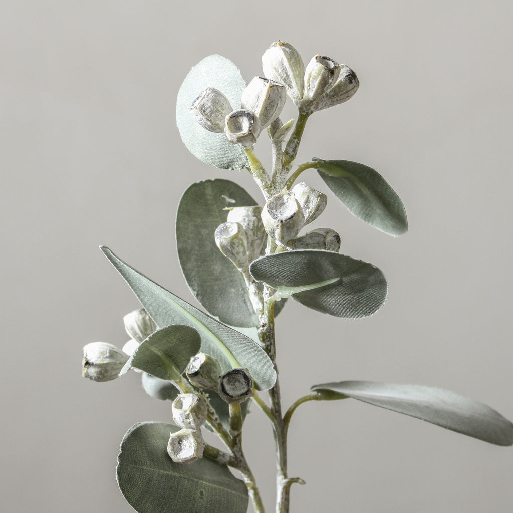 Eucalyptus Tetragona White Green 41cm - Few and Far - Flowers & Foliage