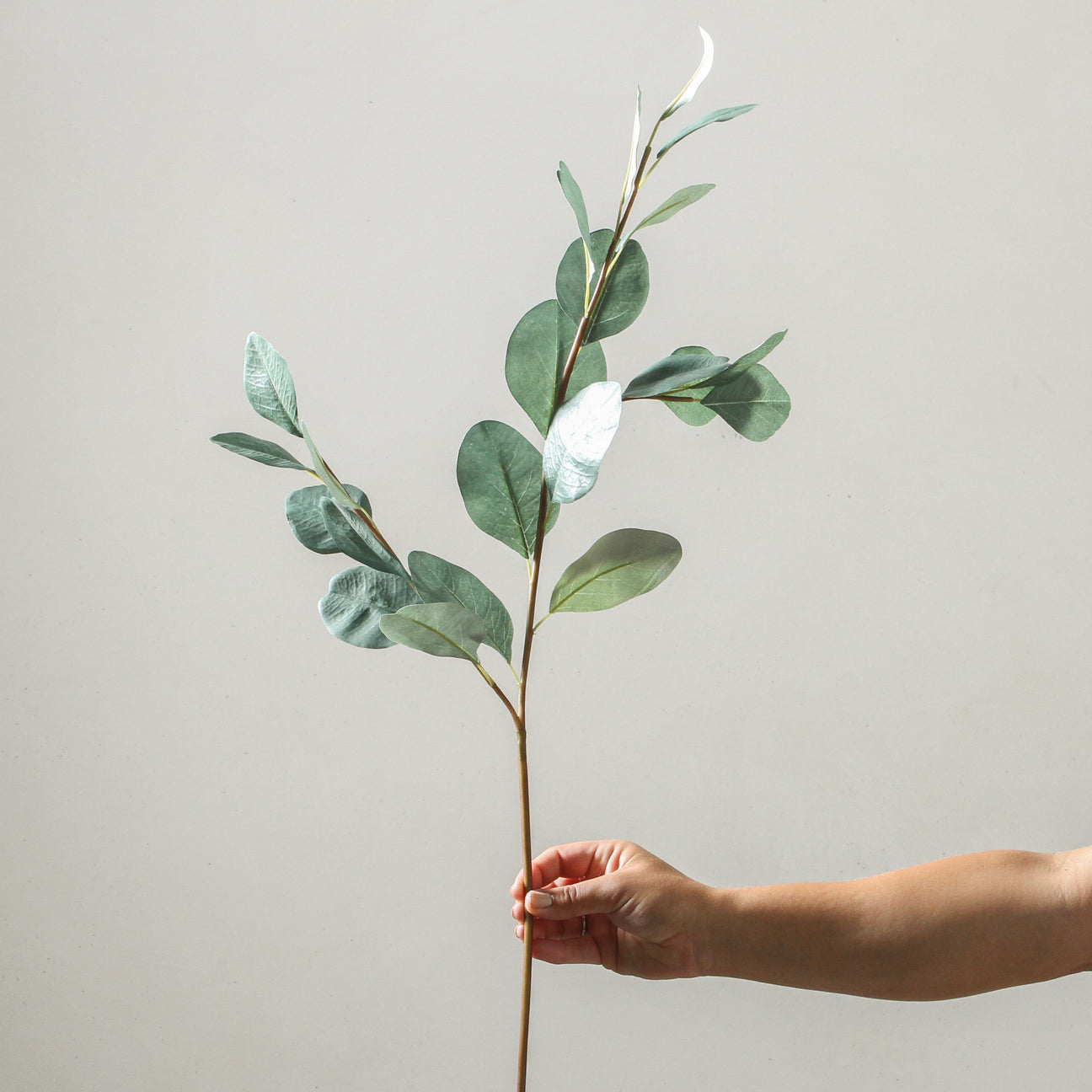 Eucalyptus Branch 90cm Green - Flowers & Foliage - IMAGE 1