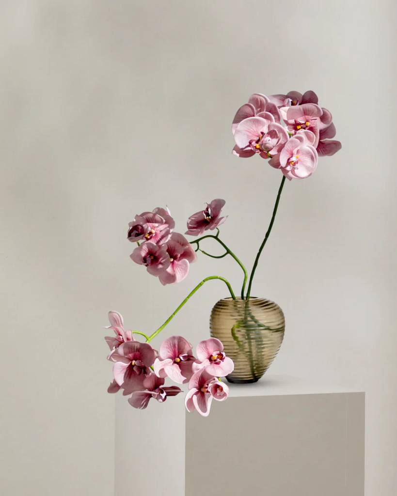 Pink orchids in a vase on a light gray surface with a neutral background