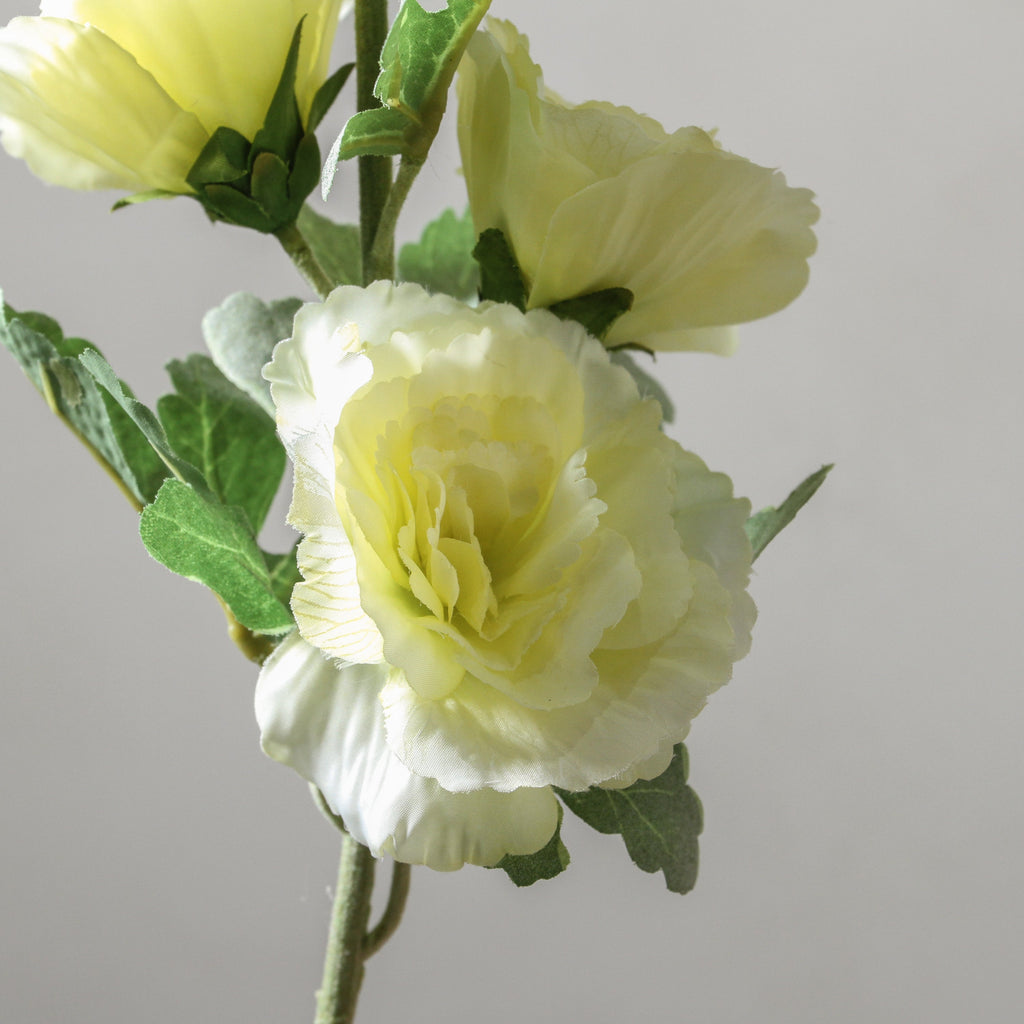 Hollyhock 91cm Cream - Few and Far - Flowers & Foliage