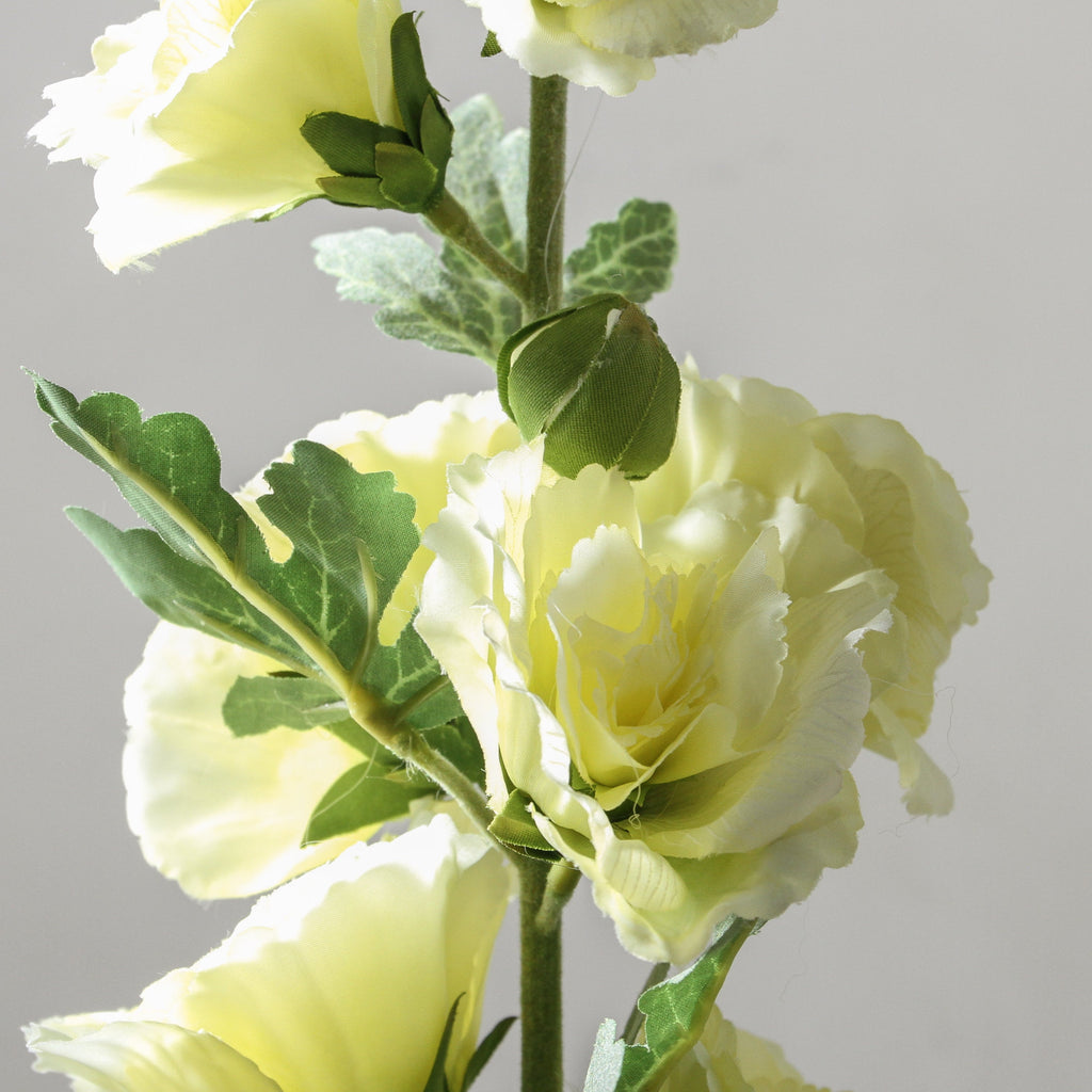 Hollyhock 91cm Cream - Few and Far - Flowers & Foliage