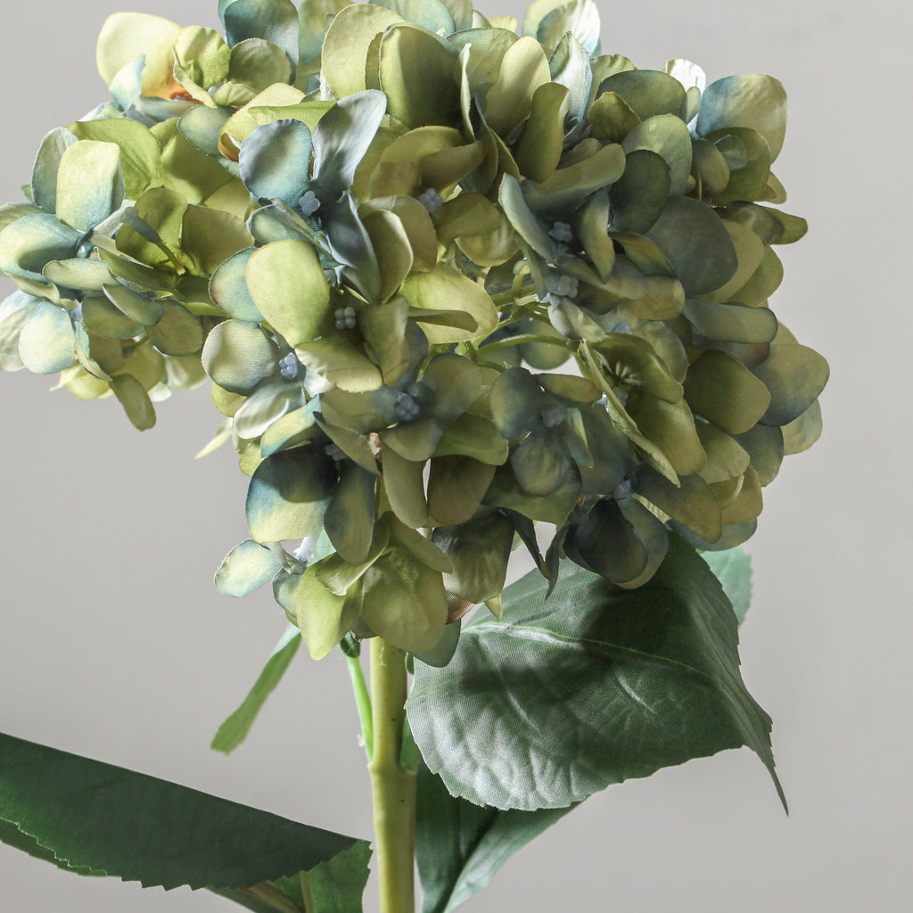 Hydrangea 72cm Blue/Green - Few and Far - Flowers & Foliage