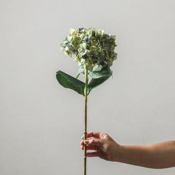 Hydrangea 72cm Blue/Green - Few and Far - Flowers & Foliage