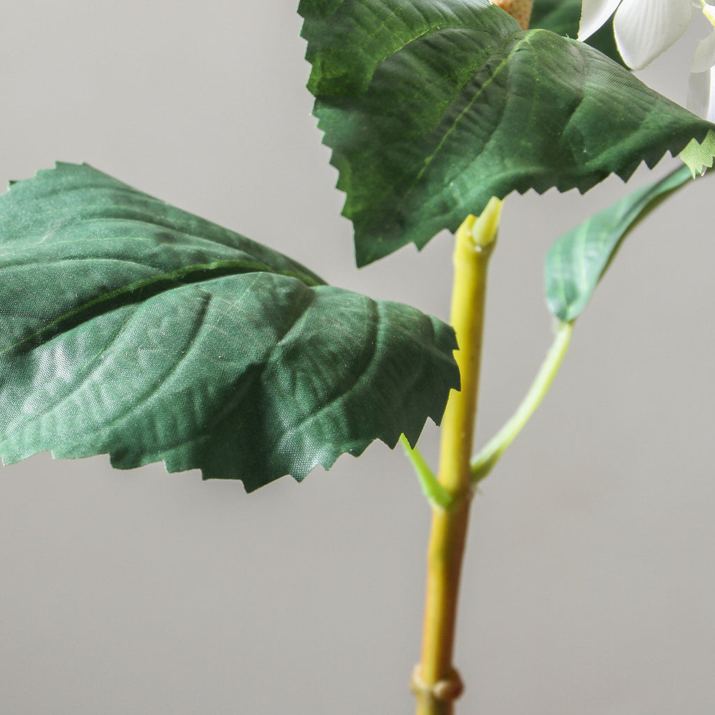 Hydrangea 74cm White - Few and Far - Flowers & Foliage