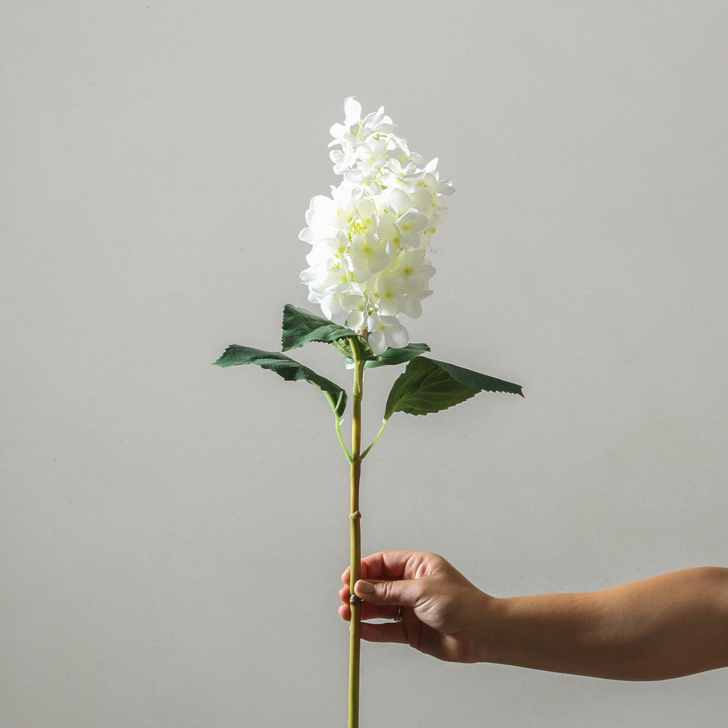 Hydrangea 74cm White - Few and Far - Flowers & Foliage
