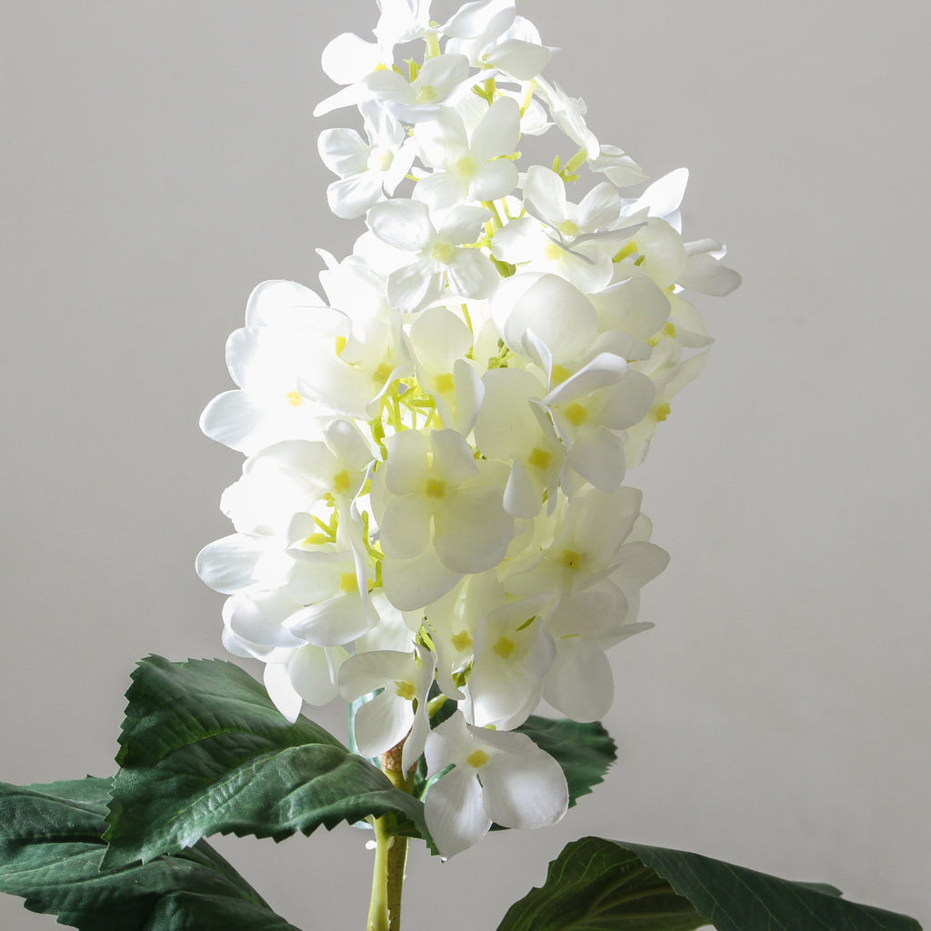 Hydrangea 74cm White - Few and Far - Flowers & Foliage