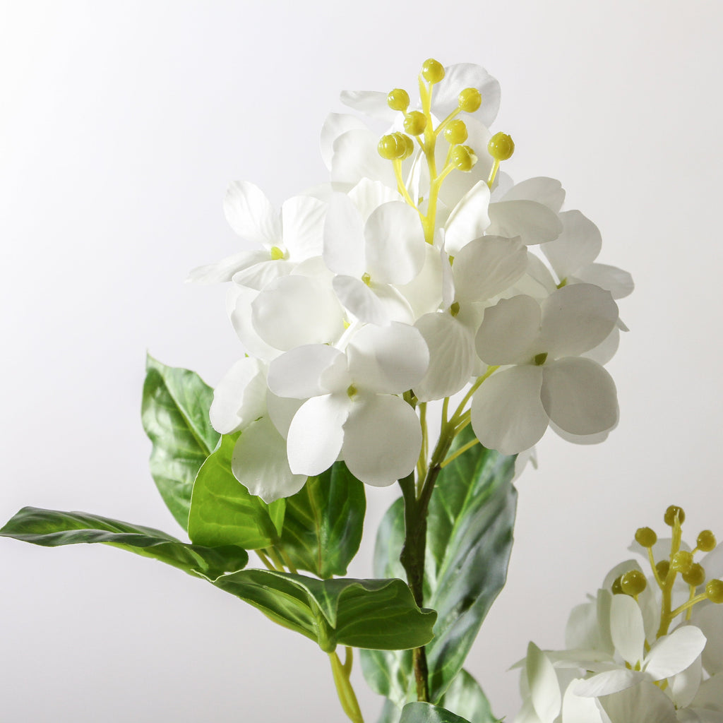 Hydrangea Spray - White 74 cm - Few and Far - Flowers & Foliage